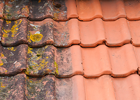 a close-up view of weathered terracotta roof tiles showing contrast between mossy aged tiles and clean new tiles illustrating maintenance for optimal roof condition eight tips for roof care